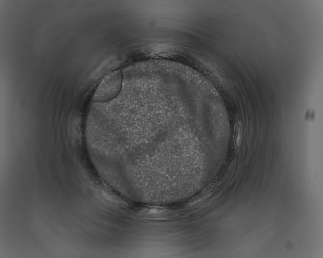 X0000091950506200710041010