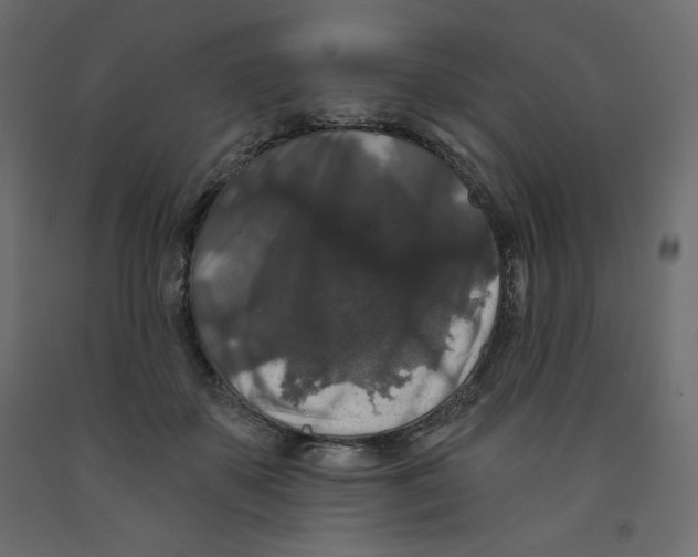 X0000091950507200710041010