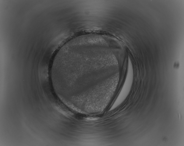 X0000091950508200710041010