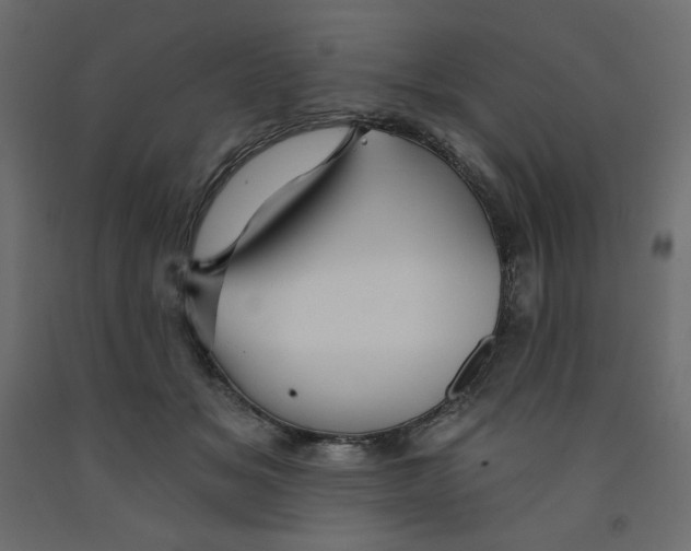 X0000091950509200710041010