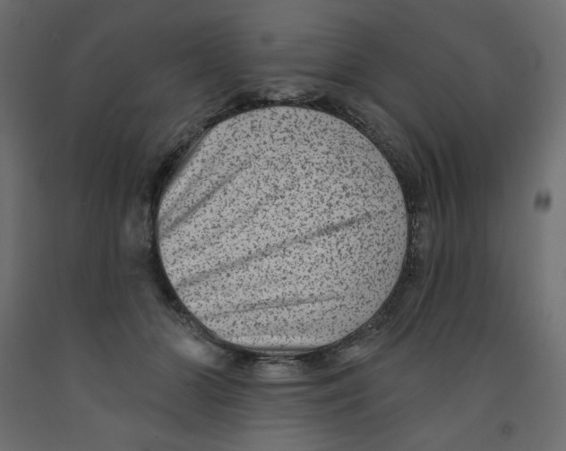 X0000091950510200710041010