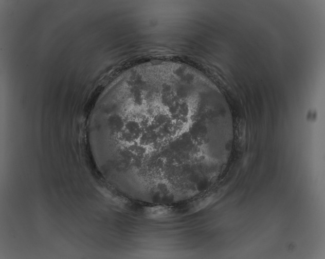 X0000091950511200710041010