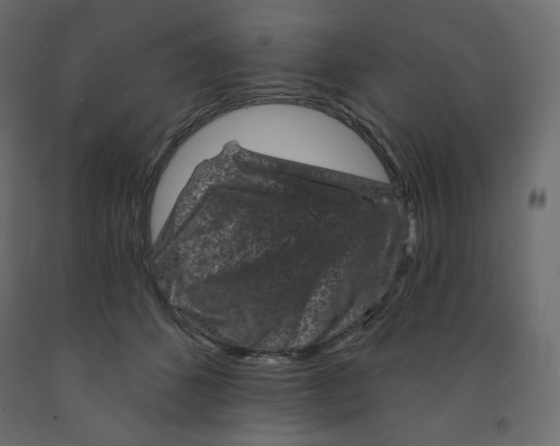 X0000091950512200710041010