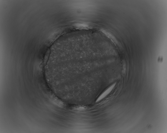 X0000091950513200710041010