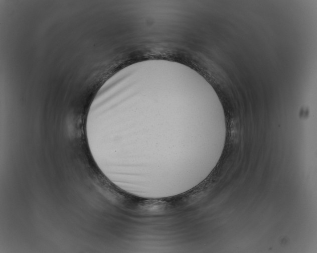 X0000091950514200710041010