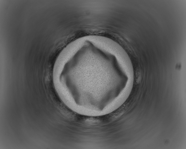 X0000091950515200710041010
