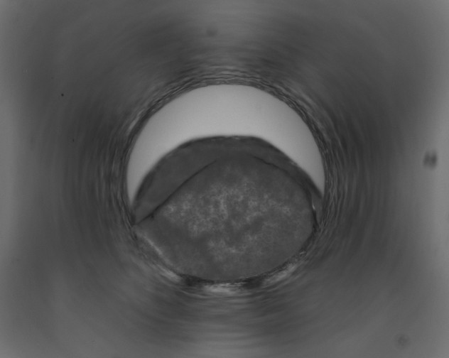 X0000091950516200710041010