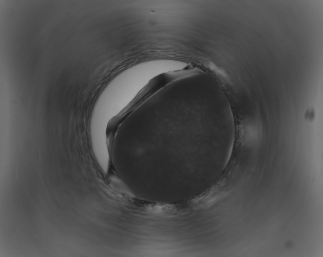 X0000091950517200710041010