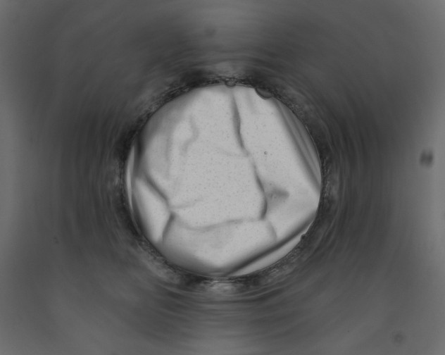 X0000091950518200710041010