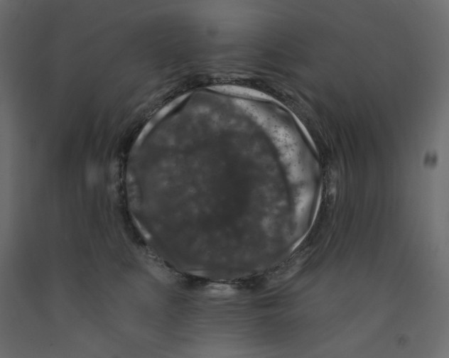 X0000091950519200710041010