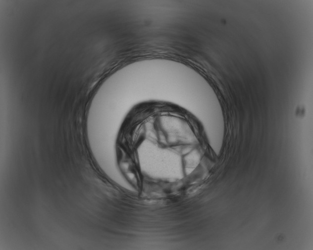 X0000091950520200710041010
