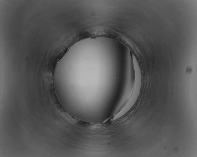 X0000091950521200710041010