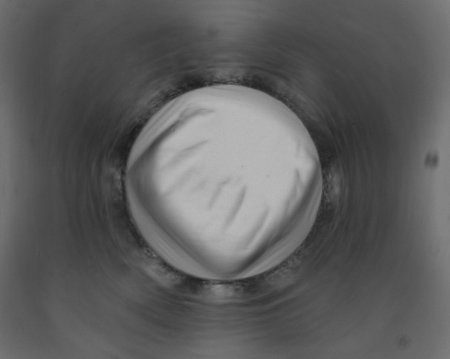 X0000091950522200710041010