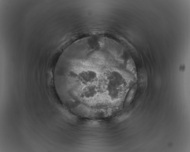 X0000091950523200710041010