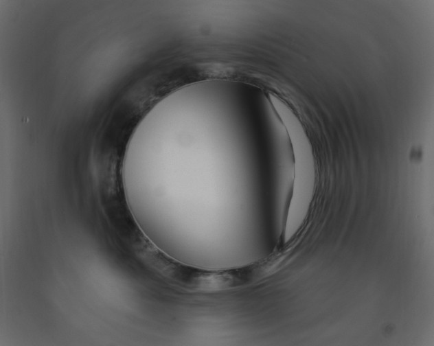 X0000091950525200710041010