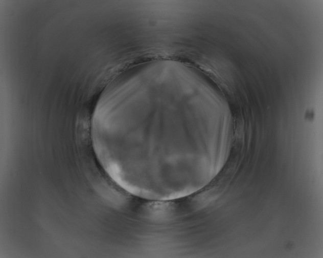 X0000091950526200710041010