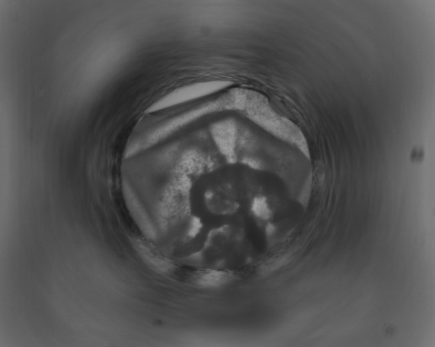 X0000091950527200710041010