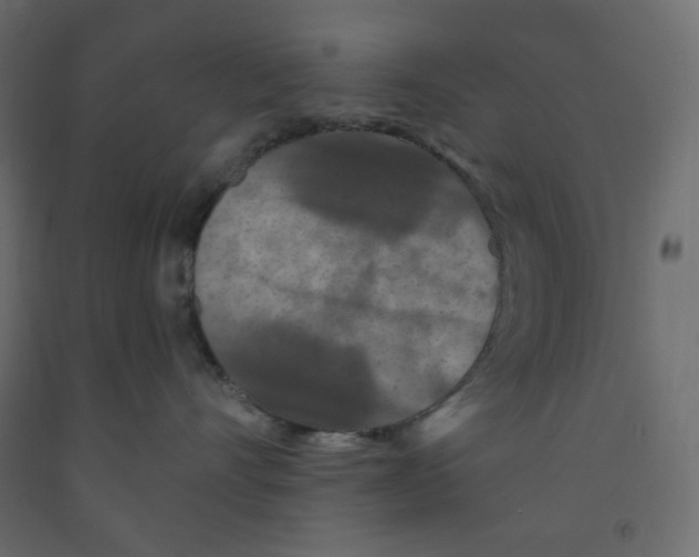 X0000091950528200710041010