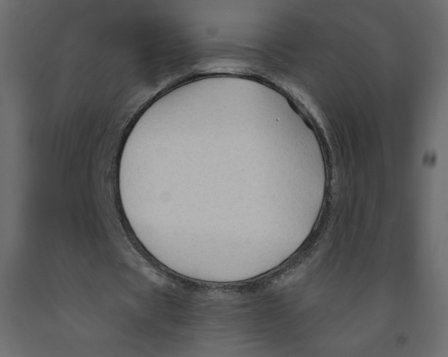 X0000091950529200710041009