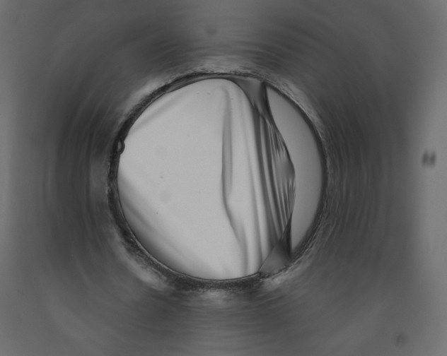 X0000091950530200710041009