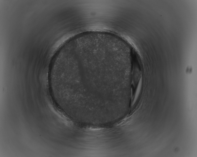X0000091950531200710041009