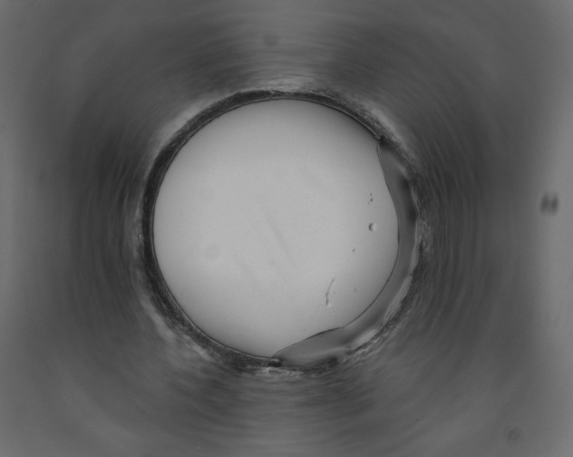 X0000091950532200710041009