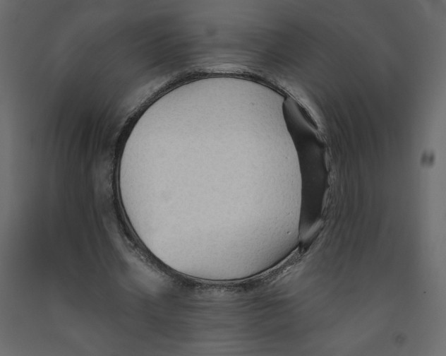 X0000091950533200710041009