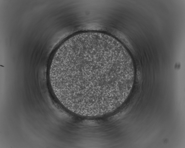 X0000091950534200710041009