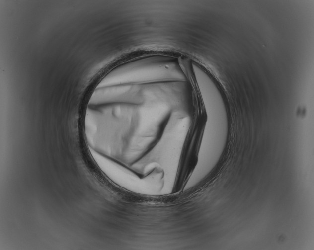 X0000091950535200710041010