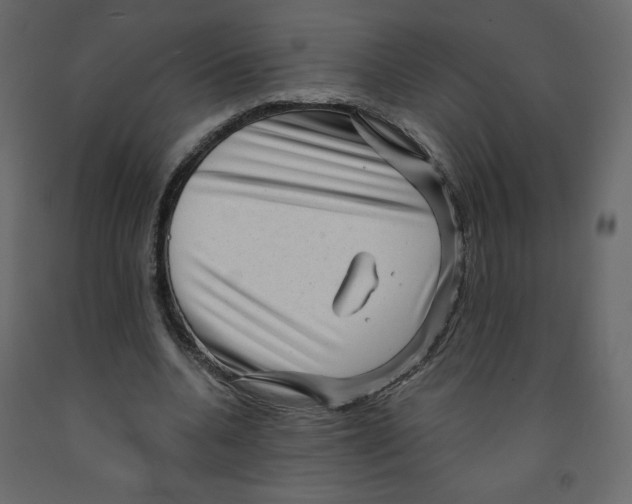 X0000091950536200710041010