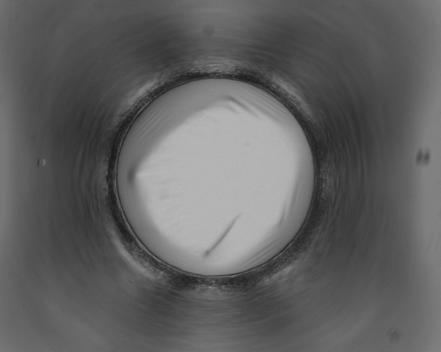 X0000091950538200710041010