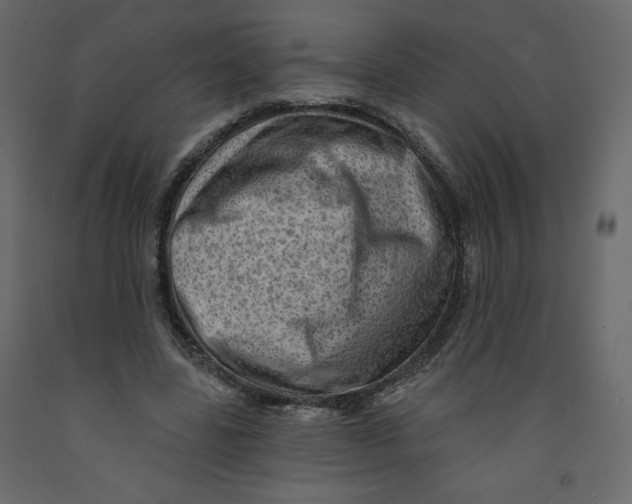 X0000091950539200710041010