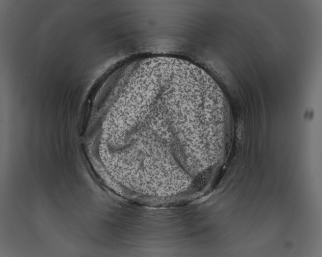 X0000091950540200710041010