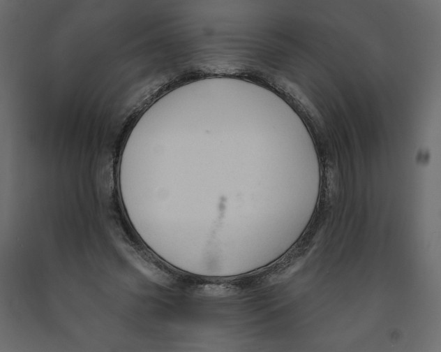 X0000091950541200710041010