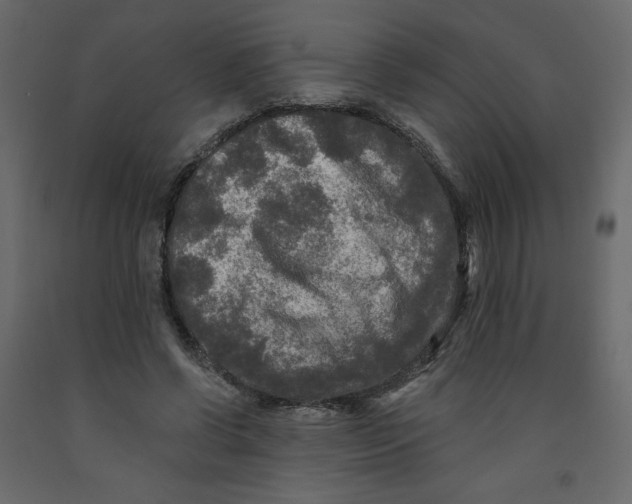 X0000091950542200710041010