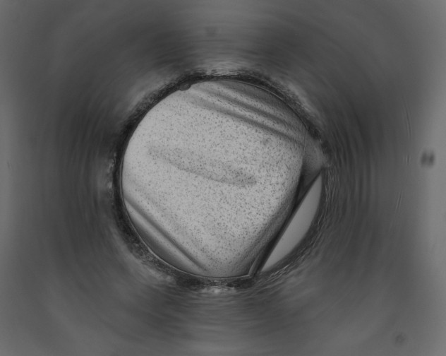X0000091950543200710041010