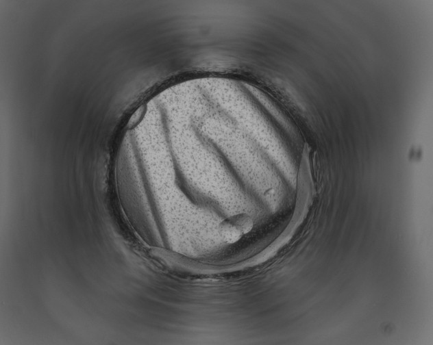 X0000091950544200710041010