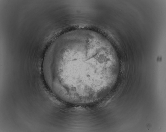 X0000091950545200710041010