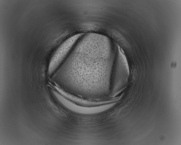 X0000091950546200710041010