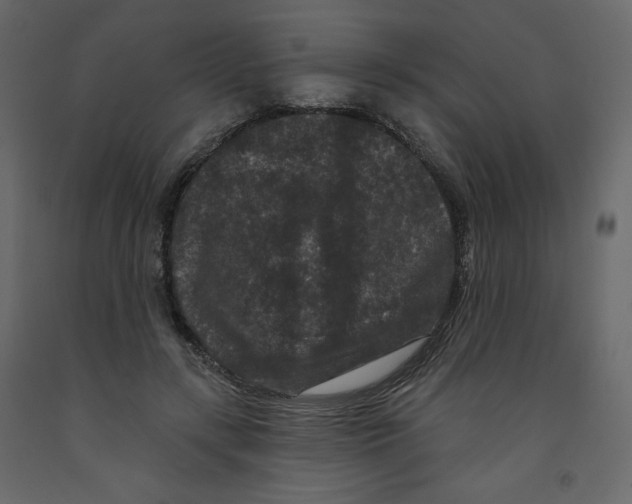 X0000091950547200710041010