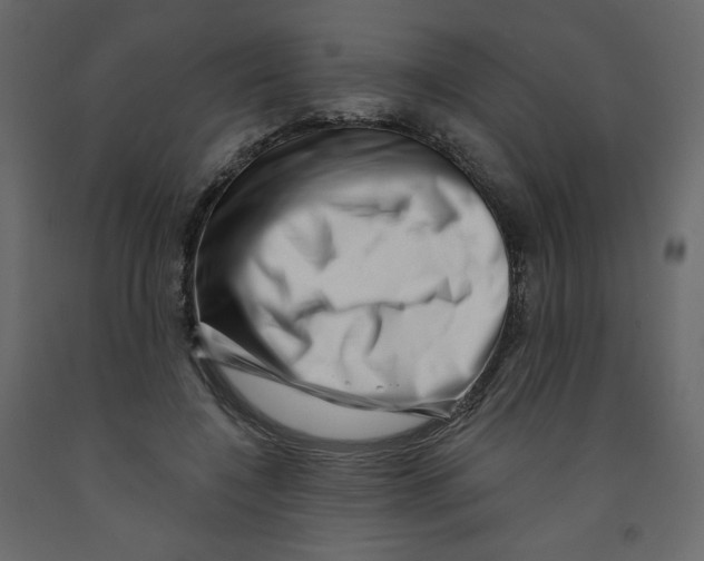 X0000091950548200710041010