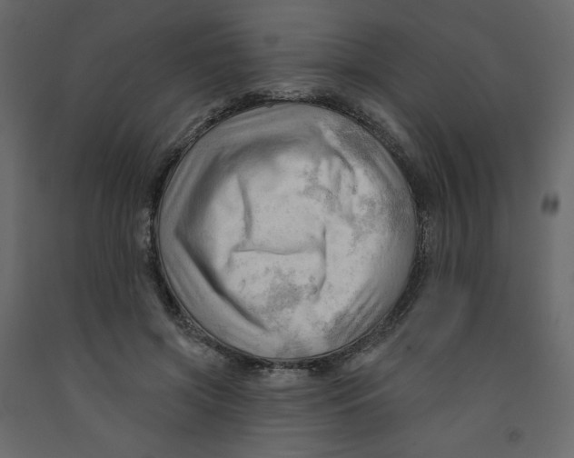 X0000091950549200710041010