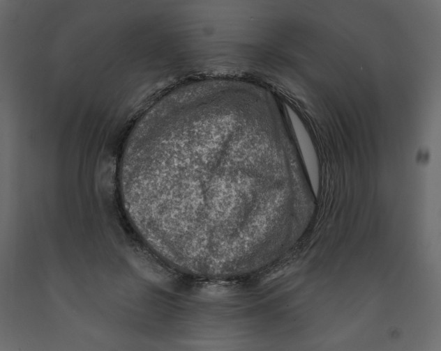 X0000091950550200710041010