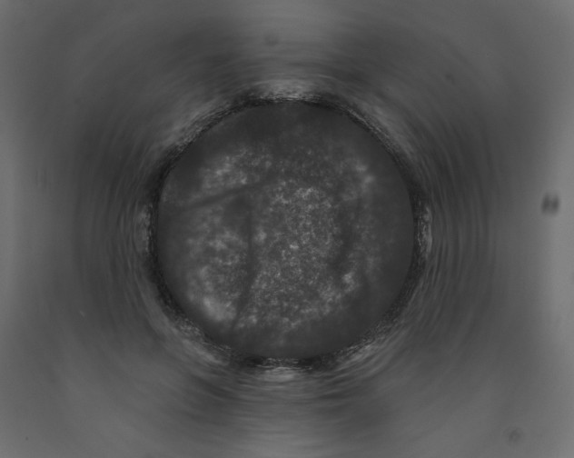 X0000091950551200710041010