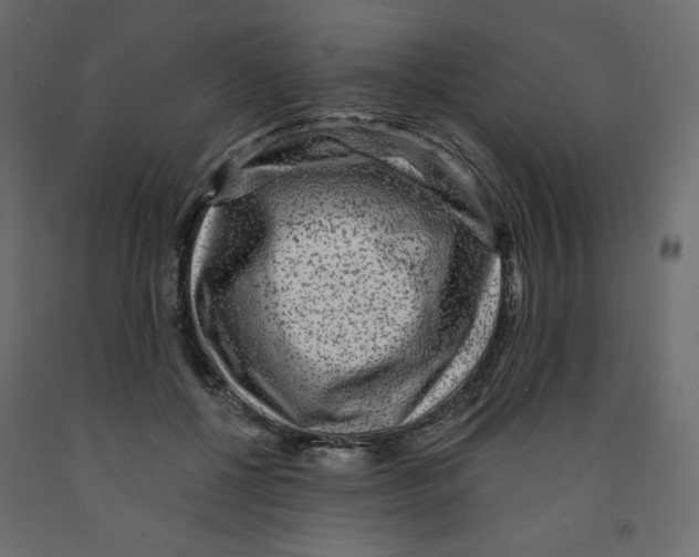 X0000091950552200710041010