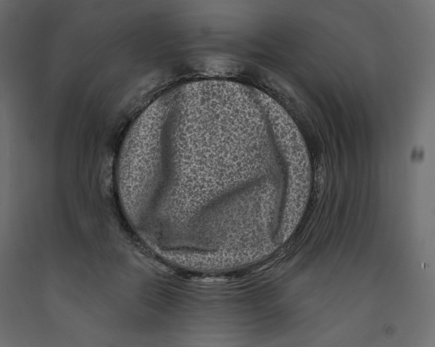 X0000091950554200710041010