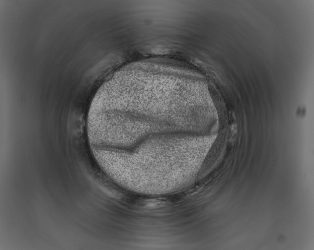 X0000091950555200710041010