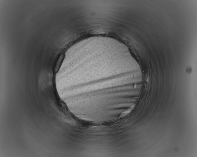 X0000091950556200710041010