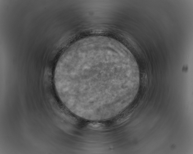 X0000091950557200710041010