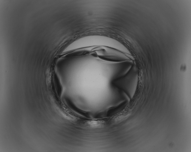 X0000091950558200710041010
